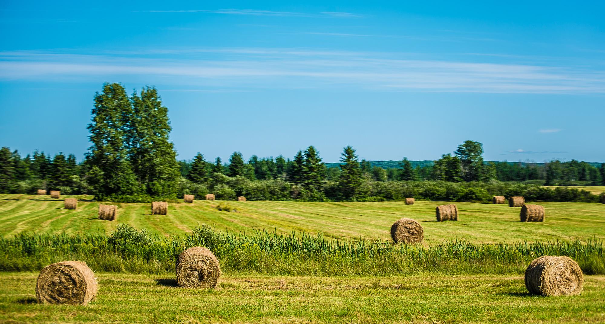 Nous joindre Municipalité de SainteFélicité